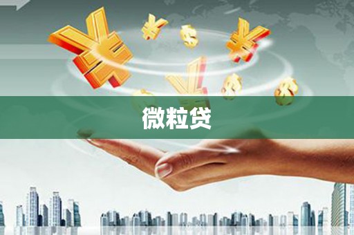 昌都微粒贷