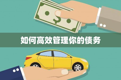 昌都如何高效管理你的债务