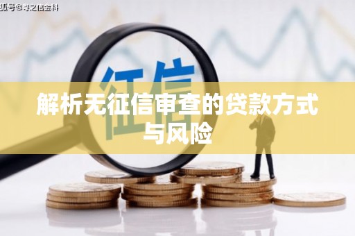 昌都解析无征信审查的贷款方式与风险